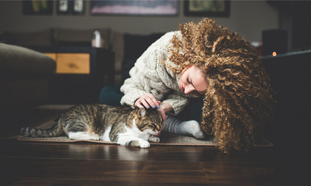 Frau streichelt ihre Katze.